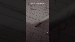 Mr.hopp, Ms.bo And Mr.stripes First Tiktok