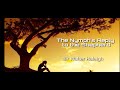 Weekly Poetry l The Nymph's Reply to the Shepherd by Sir Walter Raleigh l Instructional Video l