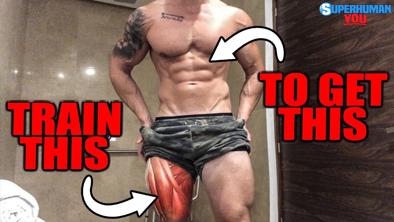 fat loss meal plan Mass Building Leg Workout For Quads, Hamstrings, Calves (RECOMP EVERYWHERE!)