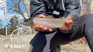 How to Catch Early Season Trout in Massachusetts (Insane Bite)
