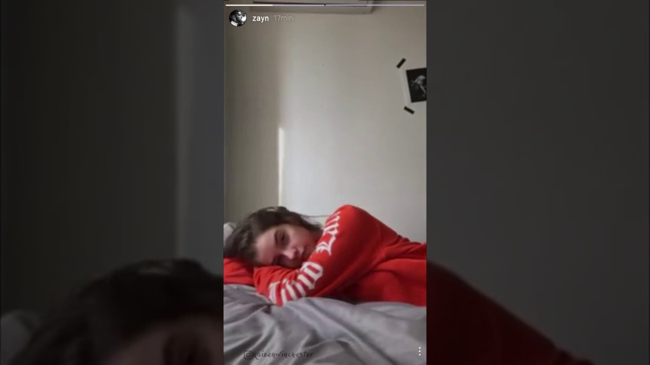Barbara Palvin via Zayn's IG Stories(AU)😍