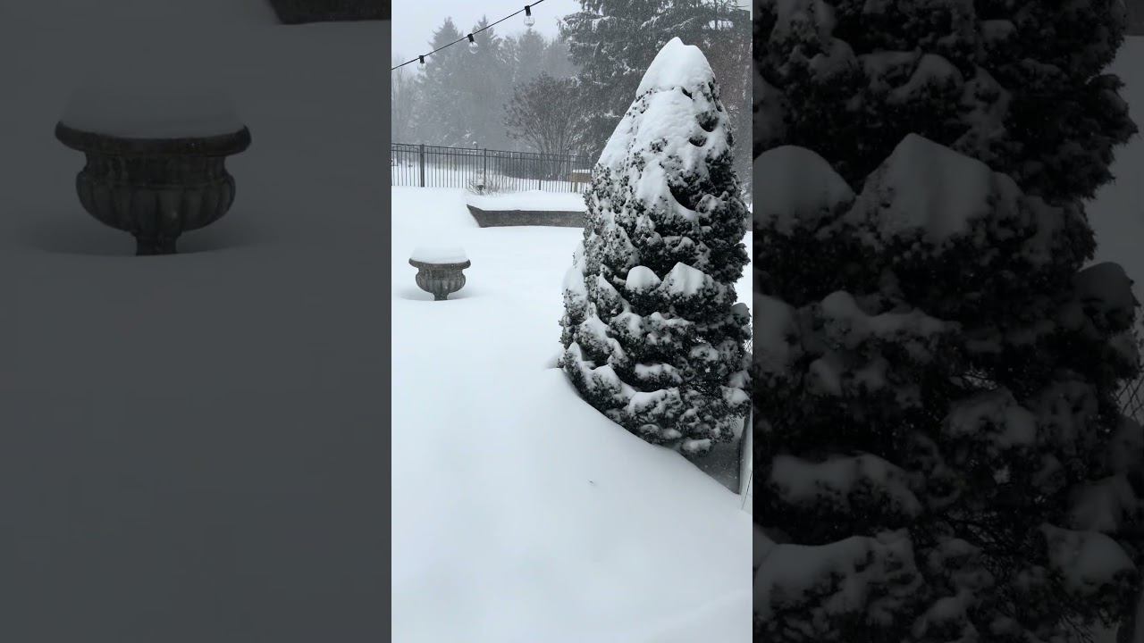 Снегопад ‘26 