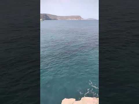 أحس بلاصة في ألميريا
