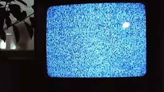 Tv Meet - Tv Inside Official Snippet