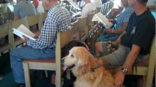 Animal Blessing, St. Michael and All Angels in Lihue, Kauai