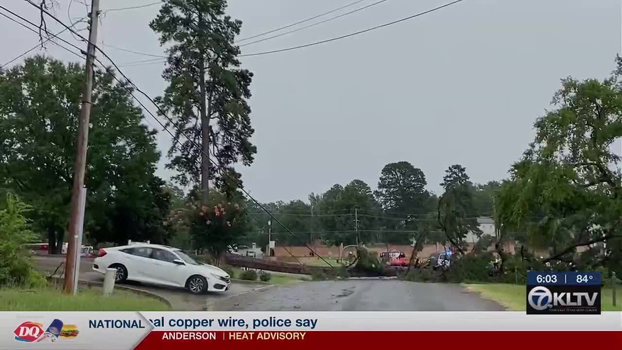 Longview road closed after high winds bring tree down on power lines ...