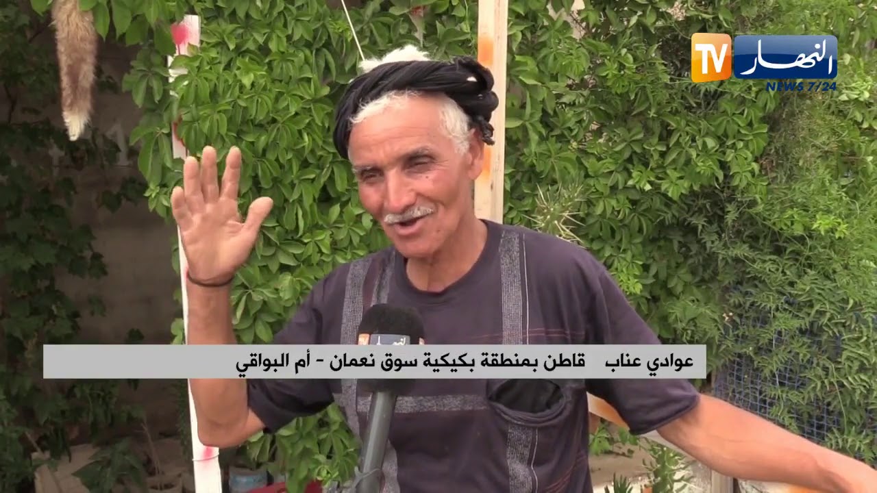 ام البواقي: عوادي يترك المدينة ويستقر بمنطقة جبلية لغرس الإخضرار