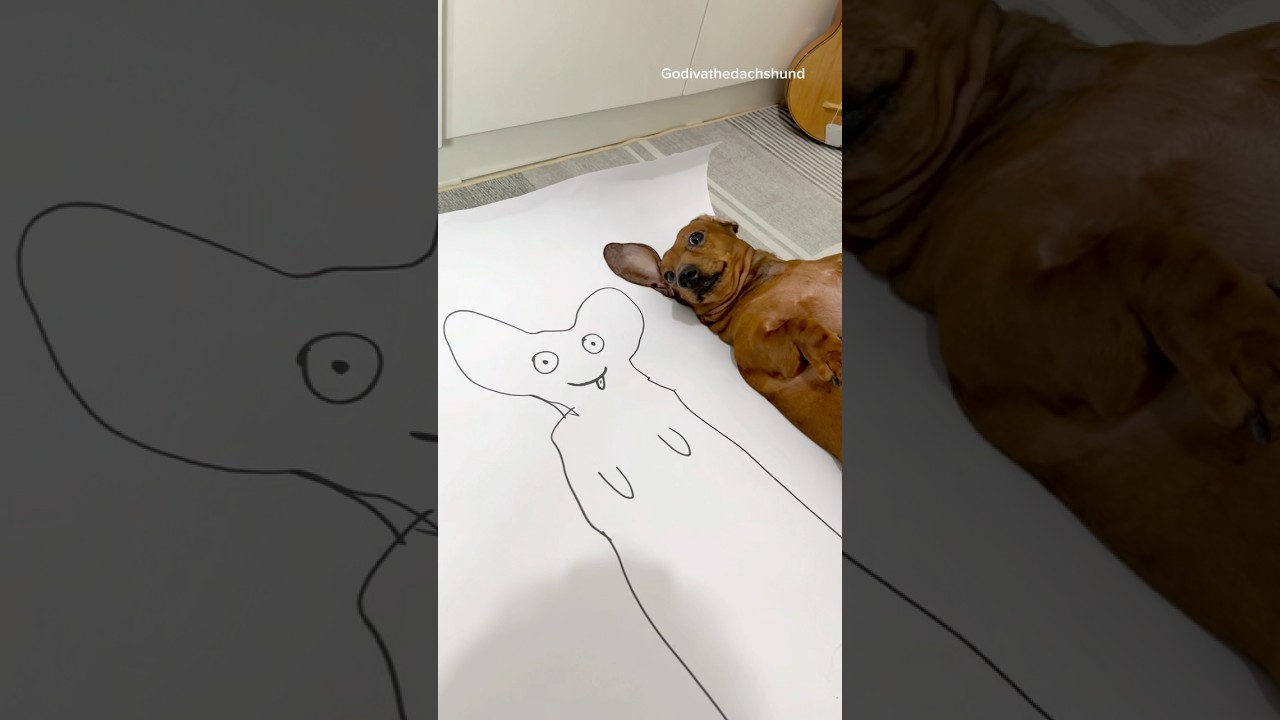 your human has hidden talent 