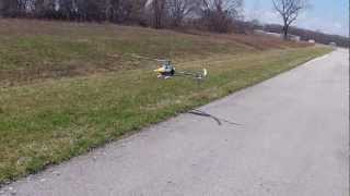 HeliGriff T-Rex 600efl Maiden Bonus Hover.MP4