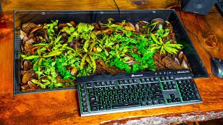 Did My Terrarium Computer Desk Survive? (2 Years Later)