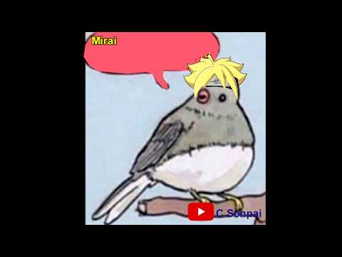 annoyed-boruto-bird