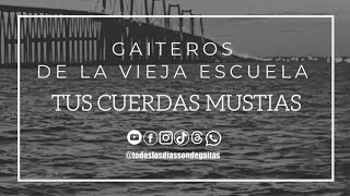 TUS CUERDAS MUSTIAS - GAITEROS DE LA VIEJA ESCUELA (HOMENAJE A HUMBERTO BRACHO