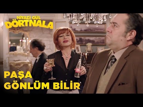 Niyazi Gül Dört Nala | Paşa Gönlüm Bilir