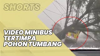 Video Detik-detik Minibus Tertimpa Pohon Tumbang saat Hujan di Tasikmalaya, Begini Kondisi Sopir