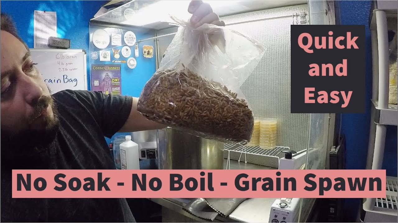 [Easiest Ever Grain Tek] No Soak, No Boil, Grain Spawn for Growing