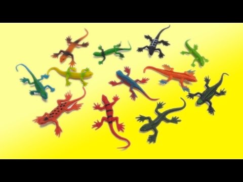 reptiles-finger-family-compilation-|-learn-colors-daddy-finger-rhyme