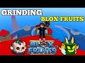 Blox Fruits: Level Grinding & Mohabbat Bhai Gifted Me a Fruit! 🤠🔥 Buying Epic Guns 🔥⚔️
