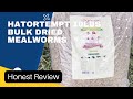Hatortempt 10lbs Bulk Dried Mealworms Review