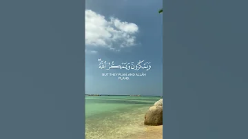 ويمكرون ويمكر الله ناصر القطامي سورة الأنفال 