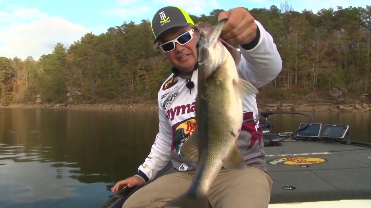 Top Fall lure, the Azuma Z Dog - YouTube