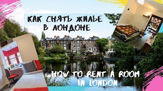Как я искала жилье в Лондоне: квартиры vs общаги