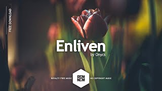 Background Music For Videos [Enliven - Onycs] Free Royalty Free Music No Copyright Chill | RFM - NCM