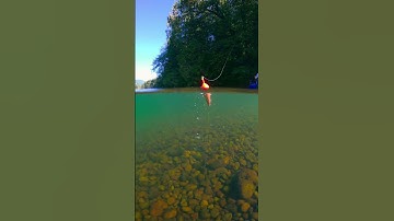 Underwater Cork Bobber cast. #bnrtackle #bnrsoftbeads #bnrfloats #Freeslider #steelhead #salmon