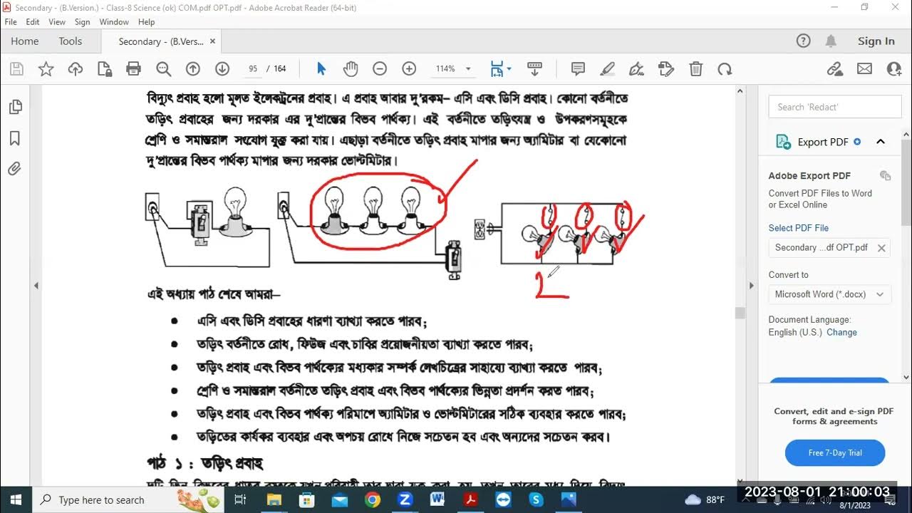 Lolilarning porno chochqachilik banki