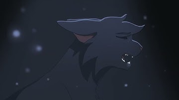 Waiting On A Miracle | Hollyleaf MAP part 8