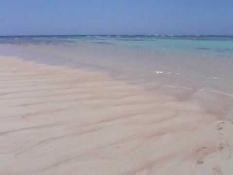 ���ɏo�������S�����l