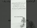 Title:When Stars Are Not Written for You, Allah Grants You the Sky #islamicquotes #fith