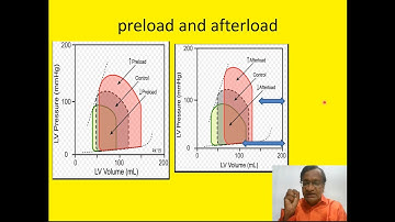 Cardiac pressure-volume loop | Dr.S.Parthasarathy MD., DNB, PhD