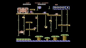 Donkey Kong Jr. (C64 Longplay)