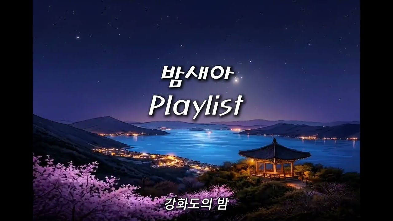 Playlist | 창밖 풍경이 유독 예뻐보이는 밤, 나만 알고 싶은 비밀스러운 밤감성 플리 ❤️