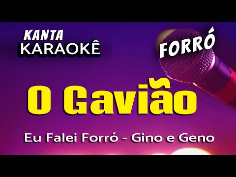 Video thumbnail for O GAVIÃO Karaokê forró - Gino e Geno. Versão: Eu Falei Forró