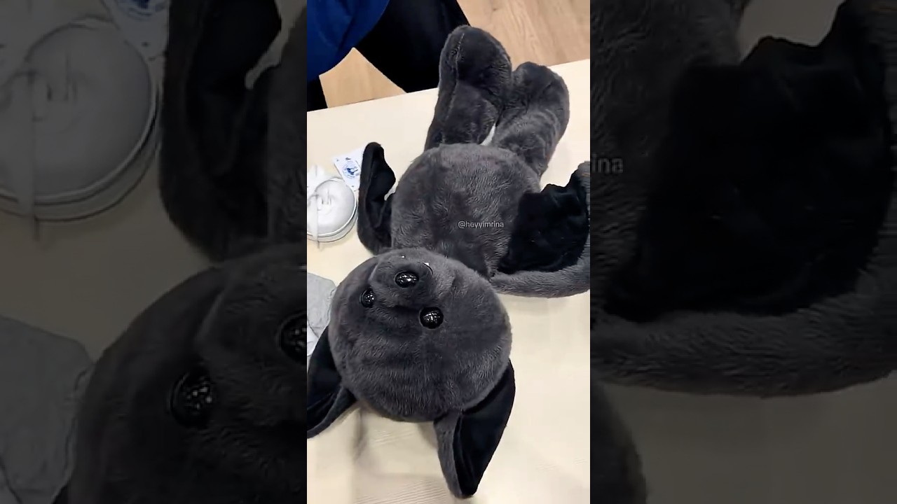 Build-A-Bear Bat 🖤🦇