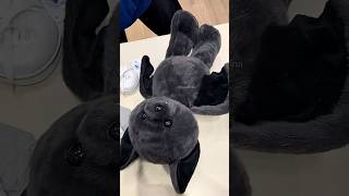 Build-A-Bear Bat 🖤🦇#buildabear #innerchild