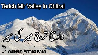 A Brief Introduction To Terich Mir Valley Chitral Terich Mir Ki Sair | Terich Mir Chitral