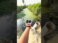 JBLGO 4 throw in water