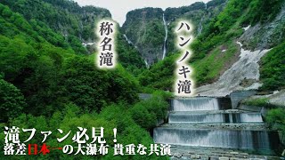 滝ファン必見！落差日本一・称名滝＆ハンノキ滝の共演（いっちゃん☆KNB 2021年6月11日放送）