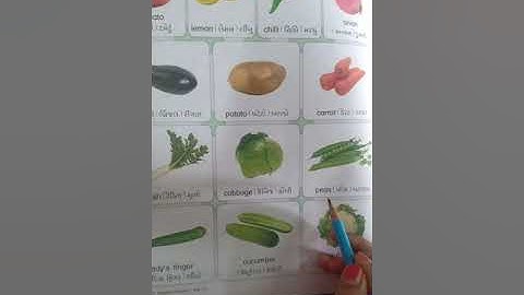 STD 3 English 3. vegetables