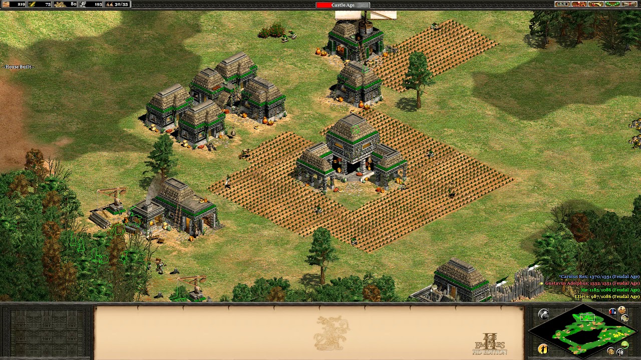 Age of Empires II HD - 1700 elo game 2v2 (No commentary)