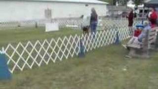 Jeb - Directed Jumping