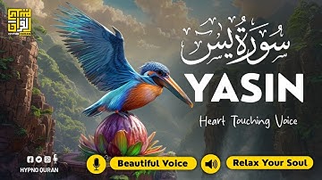 Surah Yasin (Yaseen) سورة يس ✦ Beautiful voice heart touching ✦ Quran For Sleep, Stress ✦ Sameh
