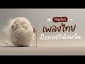 รวมเพลงไทยฟังสบาย เปิดคลอไว้ฟังทั้งวัน