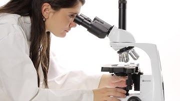 Euromex Köhler illumination EN