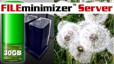 Storage Save | FILEminimizer server
