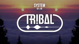 D-Jahsta - System (8Er$ Remix)
