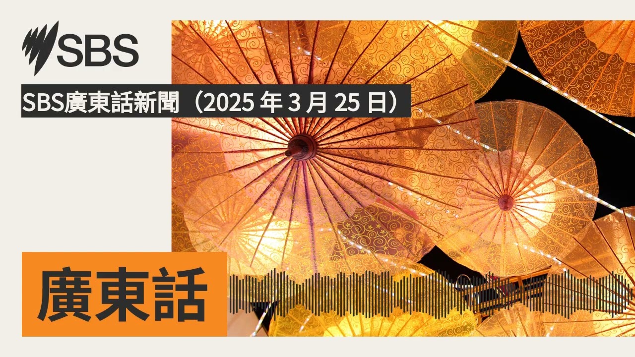 SBS廣東話新聞（2025 年 3 月 25 日） | SBS Cantonese - SBS廣東話節目