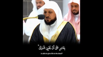 تلاوة خاشعة من خواتيم سورة الأحقاف لفضيلة الشيخ د. ماهر المعيقلي